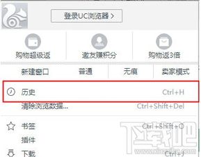 《如何轻松查看《UC浏览器》中的下载记录？》 3