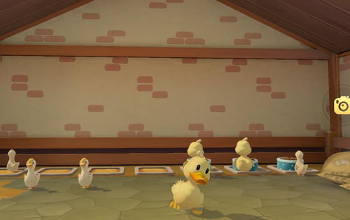 如何解锁摩尔庄园中的鸡棚 3