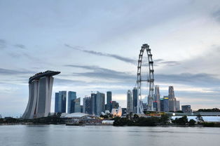 《七日世界》离岸广场超全探索秘籍，速来！