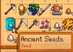 《星露谷物语》中如何获得上古种子? 2