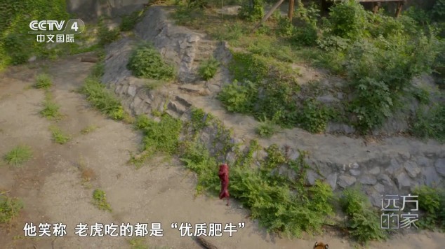 频道多多1.4.0 截图4