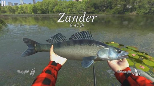 终极钓鱼模拟器汉化版 1