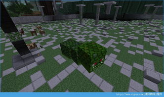 征服暮色森林：战胜娜迦的终极策略 2