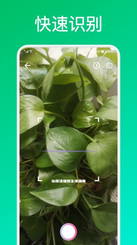 识花君植物识别app 1