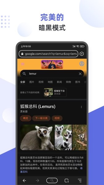 狐猴瀏覽器app  1