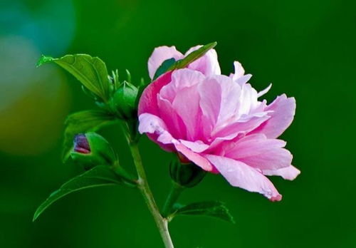 《如何轻松通关<文字玩出花>中的欢喜冤家模式?攻略来了!》 1