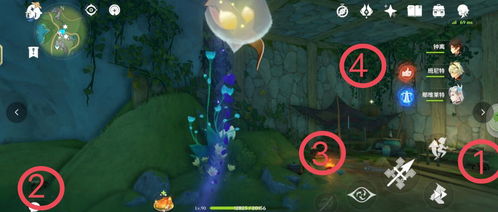 《原神》幽林枝位置全攻略 3