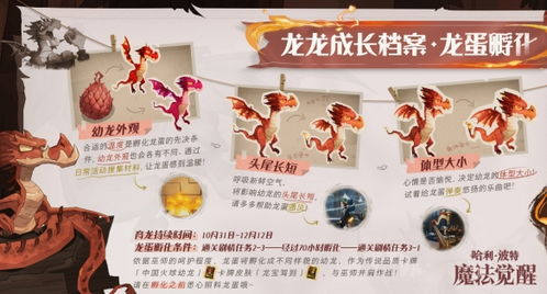 《哈利波特:魔法觉醒》解锁育龙秘籍,条件全揭秘! 2