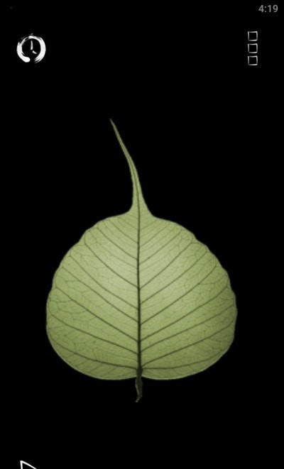 菩提计时器 1