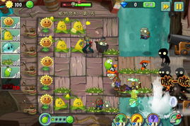 《植物大战僵尸2》海盗无尽模式攻略：平民向阵容推荐 2