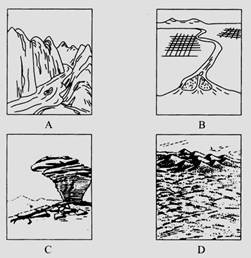 小鸡宝宝挑战题:哪种地貌源于风力侵蚀作用? 3