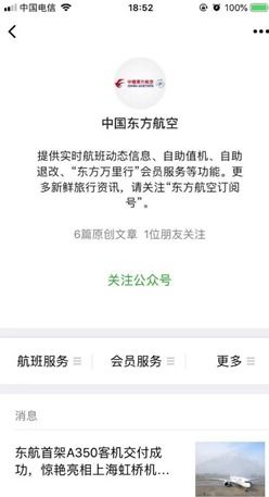 《东方航空登机牌办理指南》 3