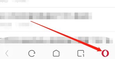 《轻松学会!欧朋浏览器无痕浏览设置指南》 2