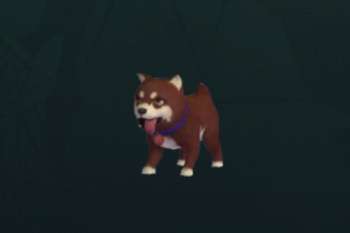 《捕捉《我们的星球》中的宠物方法指南》 2