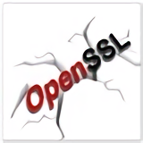 openssl v1.10