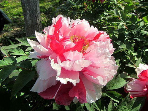 《梗传之王》如何花光一个亿通关？ 2