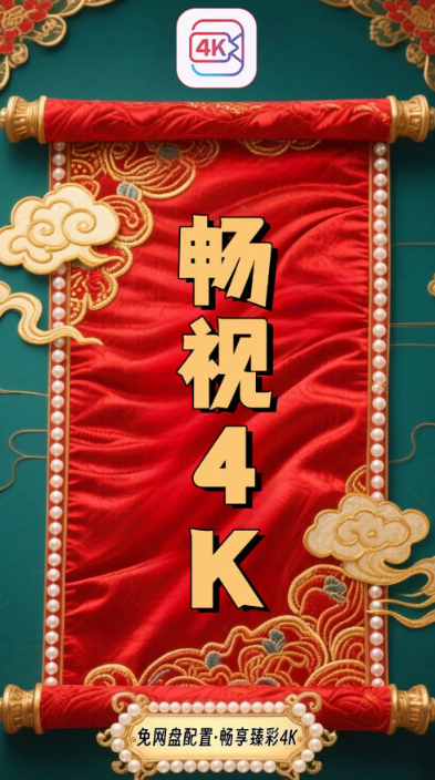 畅视4K最新版 截图7