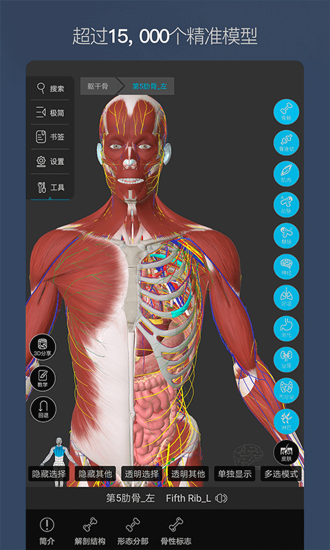 维萨里3D解剖 截图1