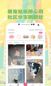 猫语狗语翻译器 截图4