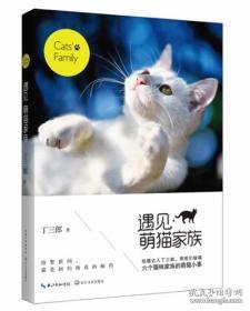 《遇见你的猫》:解锁高效提升亲密度秘籍! 4