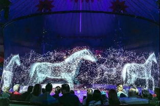 《万象马戏团》:揭秘科学巨匠伽利略的奇幻档案 1