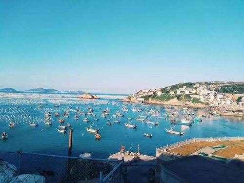 《渔帆暗涌》全小码头位置详解指南 3