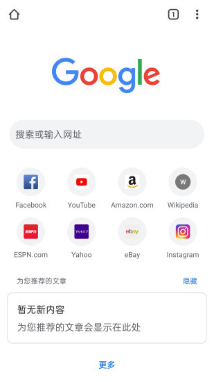 Chrome浏览器 截图3