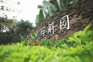 《沙石镇时光》刺槐木在哪里可以找到? 2