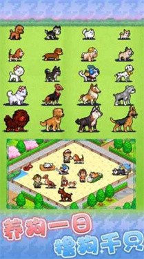 发现狗狗乐园游戏 1