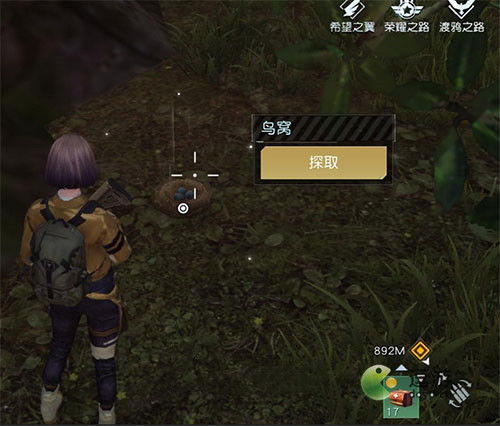 《《黎明觉醒》玩家必看:如何高效获取稀有鸟蛋?》 3