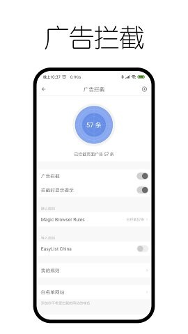 神奇浏览器 1