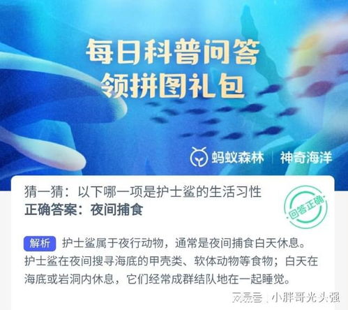 揭秘护士鲨的独特生活习性 3