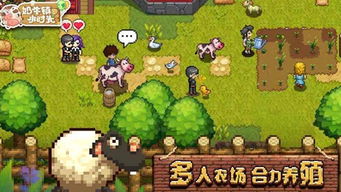 《如何在《奶牛镇的小时光》里成功求婚,结婚攻略大揭秘?》 2