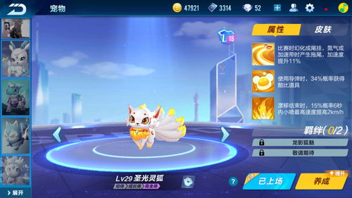 揭秘!QQ飞车手游中,如何挑选最炫酷宠物? 2