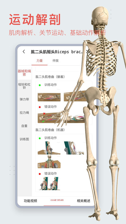 3d人体模型app 1