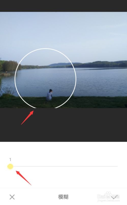 《氧气相机:轻松掌握背景虚化技巧,打造专业级人像大片》 2