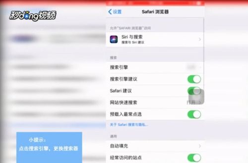 轻松掌握：在Safari浏览器中设置谷歌搜索引擎的快捷方法 2