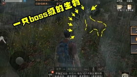 《光遇》11月30日复刻先祖萎靡不振的士兵兑换物有哪些? 2