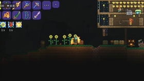 泰拉瑞亚专家模式必胜技巧大揭秘! 2