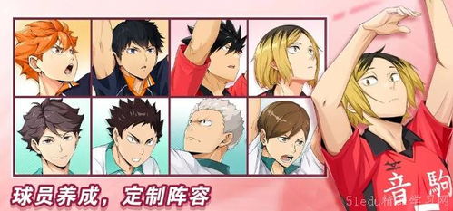 《排球少年:新征程秘籍!如何解锁合宿基地隐藏空房间》 3