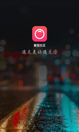 番茄交友软件 截图4
