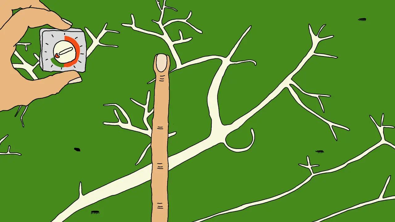 越南料理游戏 截图2