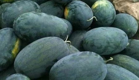 如何挑选完美黑美人，一看就懂！ 1