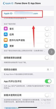 如何在苹果手机上下载应用程序 4