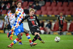 《《鸣潮》玩家必看:如何快速收集布兰特培养与突破所需材料?》 1