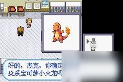 火红版口袋妖怪：一周目通关全攻略秘籍 4