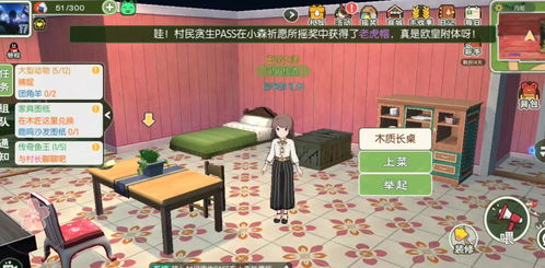 《小森生活》房屋满级建造材料清单 2