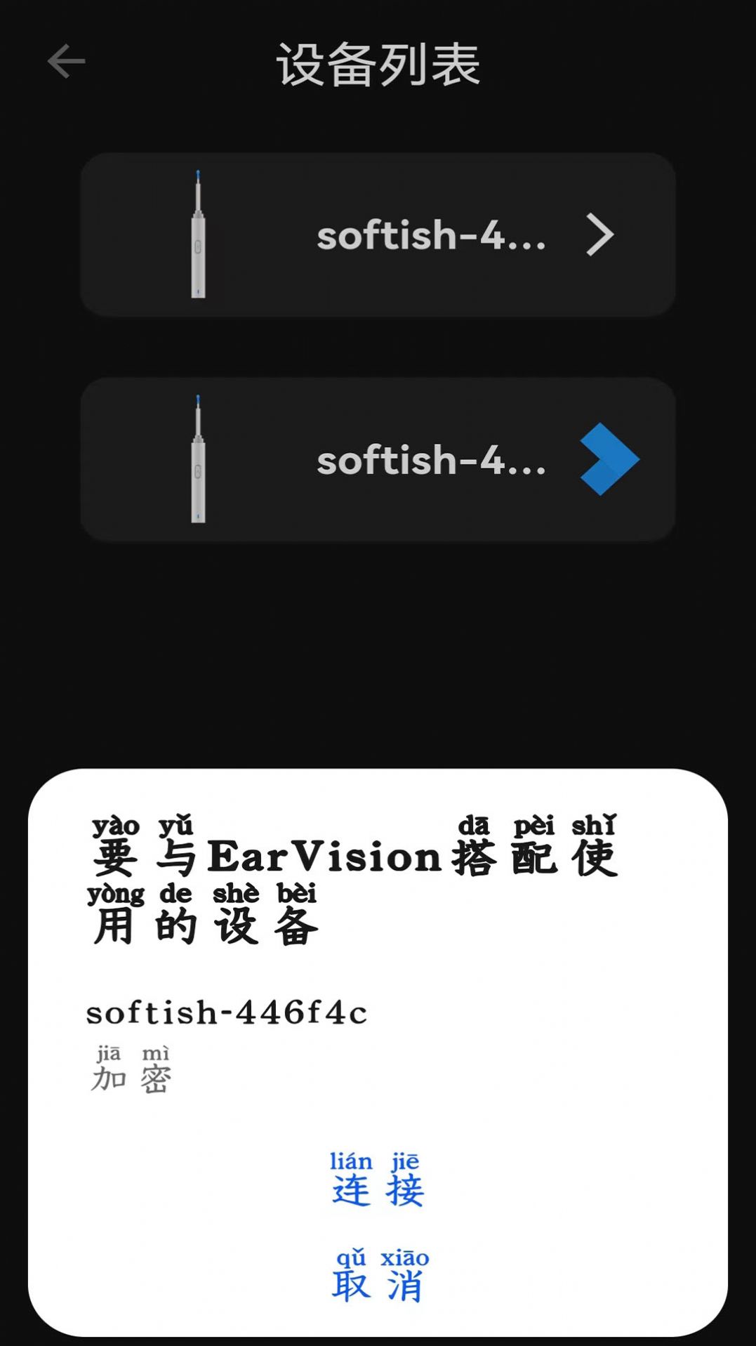 EarVision 截图3