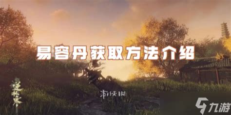 《逆水寒手游》易容丹多少钱?哪里可以获得? 2