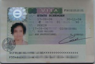 轻松指南:如何快速办理签证? 2